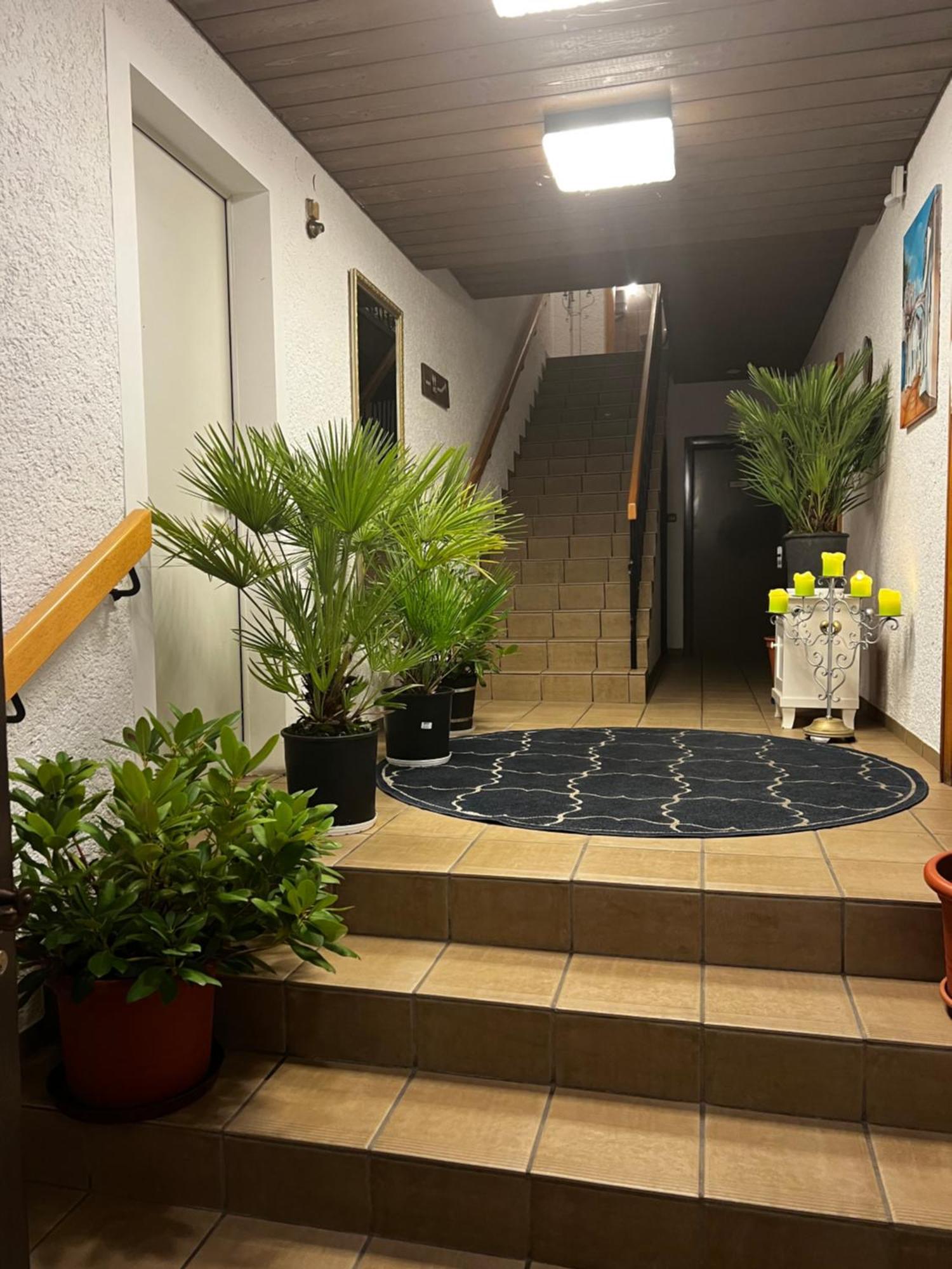 Gasthof Stern Asteri Frickenhausen  Zewnętrze zdjęcie
